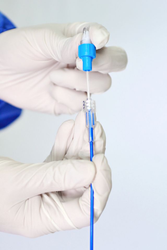 electrophysiology catheter